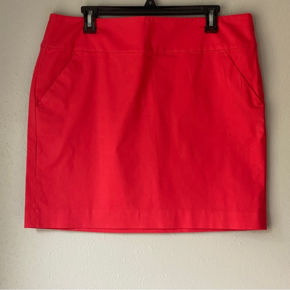 Ann Taylor Skirt